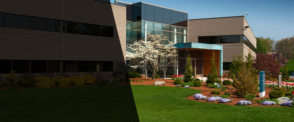 Upperville Landscapers