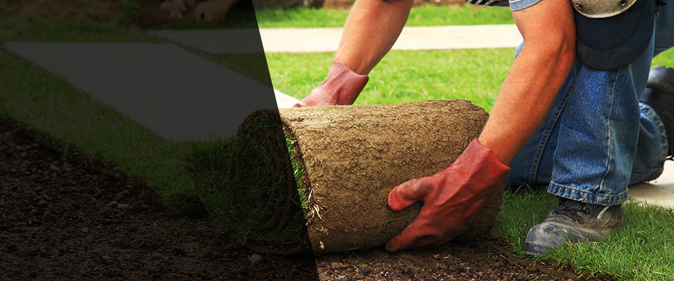 Upperville Landscapers